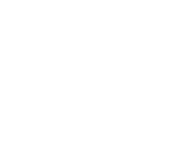 Maxim Hair
